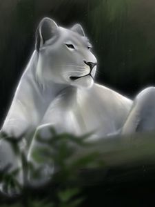 Превью обои львица, лев, взгляд, хищник, арт