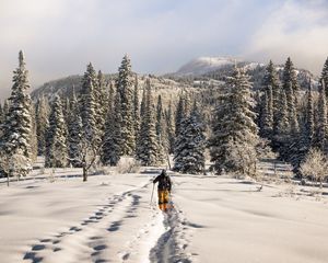 Превью обои лыжник, горы, снег, зима