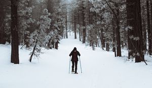 Превью обои лыжник, лес, снег, зима, прогулка