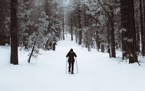Превью обои лыжник, лес, снег, зима, прогулка