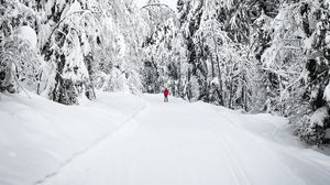Превью обои лыжник, силуэт, снег, деревья, зима