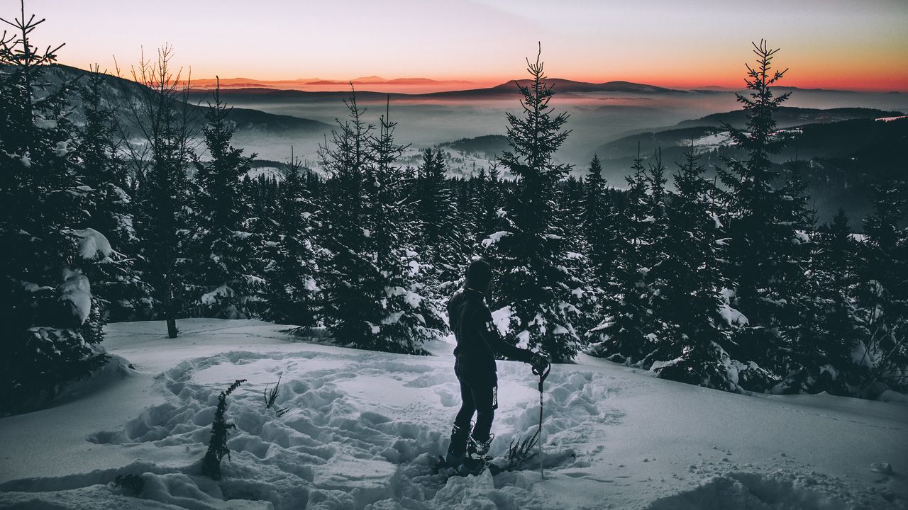 Обои лыжник, снег, зима, деревья