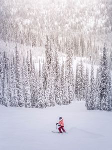 Превью обои лыжник, снег, зима, деревья, заснеженный