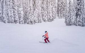 Превью обои лыжник, снег, зима, деревья, заснеженный