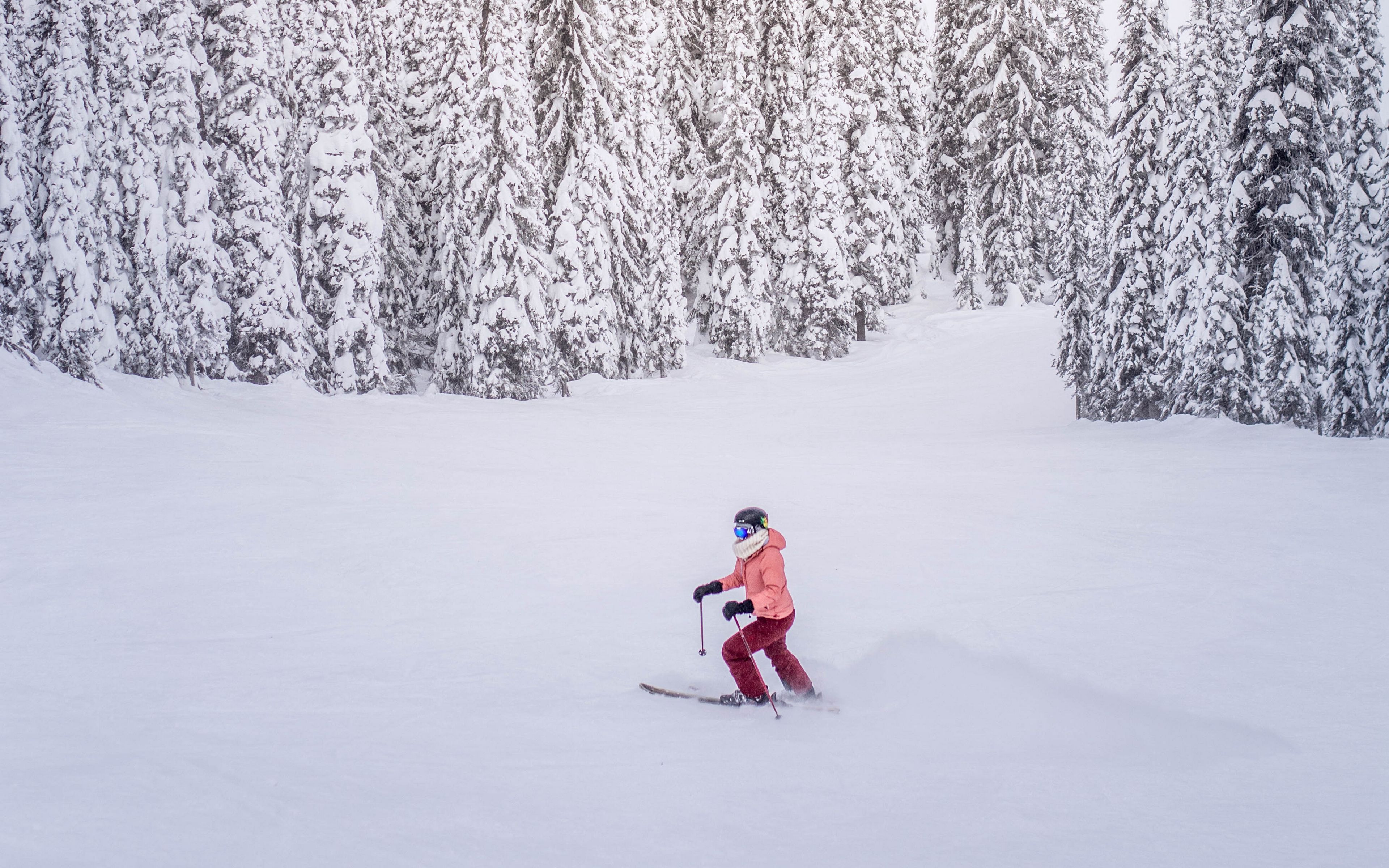 Ostrich Snow Skiing