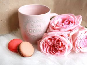 Превью обои macaron, печенье, чашка, розы