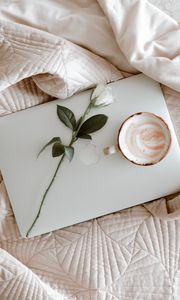 Превью обои macbook, кофе, чашка, роза, ткань