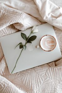 Превью обои macbook, кофе, чашка, роза, ткань