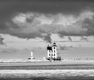 Превью обои маяк, здание, берег, море, птицы, небо, черно-белый