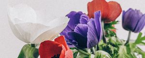 Превью обои маки, цветы, лепестки, букет, разноцветный