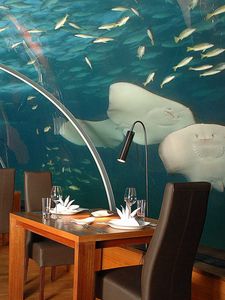 Превью обои мальдивы, тропики, подводный ресторан