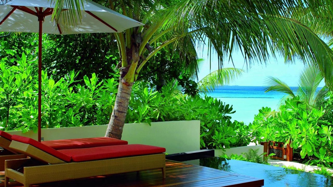 Обои мальдивы, зелень, растительность, тропики, курорт, кресла, пальмы .