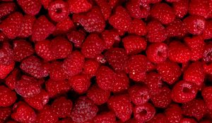 Превью обои малина, ягода, фрукт, десерт, красный