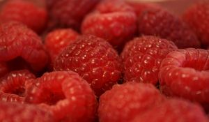 Превью обои малина, ягода, фрукт, макро, красный