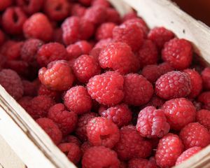 Превью обои малина, ягоды, макро, красный