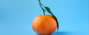 Превью обои мандарин, фрукт, цитрус, оранжевый, голубой