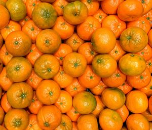 Превью обои мандарины, фрукты, оранжевый, цитрус