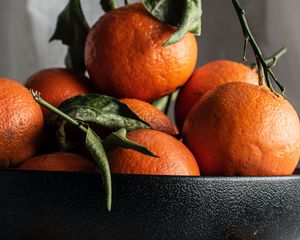 Превью обои мандарины, фрукты, оранжевый, миска
