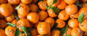 Превью обои мандарины, фрукты, цитрус