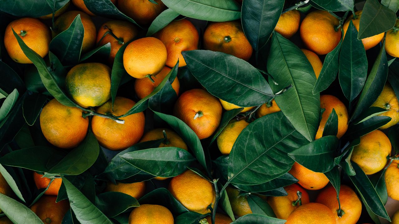 Обои мандарины, фрукты, цитрус, листья