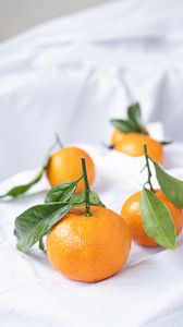 Превью обои мандарины, фрукты, цитрус, листья, оранжевый