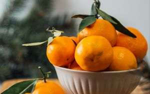 Превью обои мандарины, фрукты, цитрус, миска, оранжевый