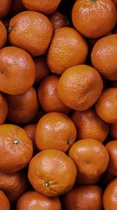 Превью обои мандарины, фрукты, цитрусовые, оранжевый, еда