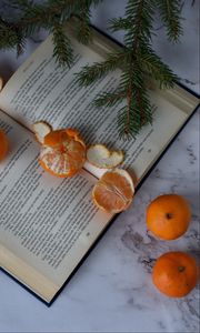 Превью обои мандарины, книга, фрукты, цитрус, оранжевый