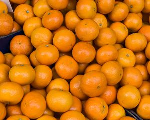 Превью обои мандарины, оранжевые, цитрус