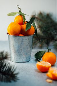 Превью обои мандарины, цитрус, фрукты, оранжевый, ведро