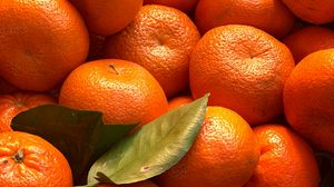 Превью обои мандарины, цитрус, фрукты, листья, оранжевый