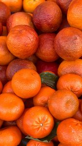 Превью обои мандарины, цитрус, оранжевый, фрукты