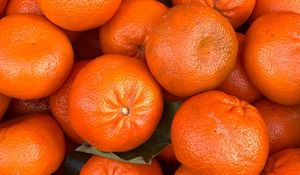 Превью обои мандарины, цитрус, оранжевый, фрукты