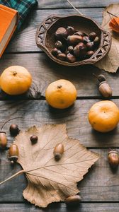 Превью обои мандарины, желуди, листья, каштаны, осень