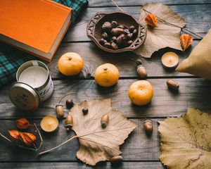 Превью обои мандарины, желуди, листья, каштаны, осень