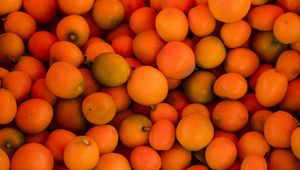 Превью обои манго, фрукты, желтый, спелый