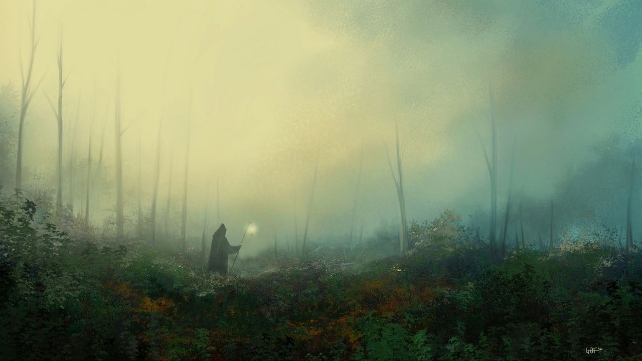 Обои мантия, странник, туман, фонарь, лес, арт