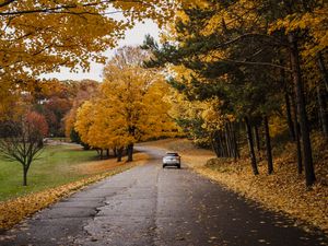 Превью обои машина, дорога, осень, деревья