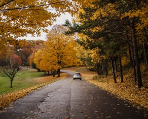 Превью обои машина, дорога, осень, деревья