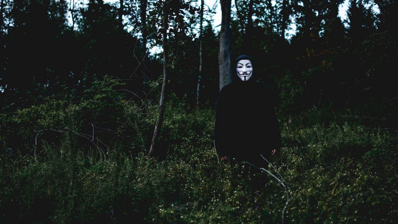 Обои маска, человек, лес, аноним