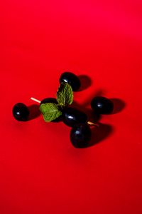 Превью обои маслины, ягоды, зубочистка, красный