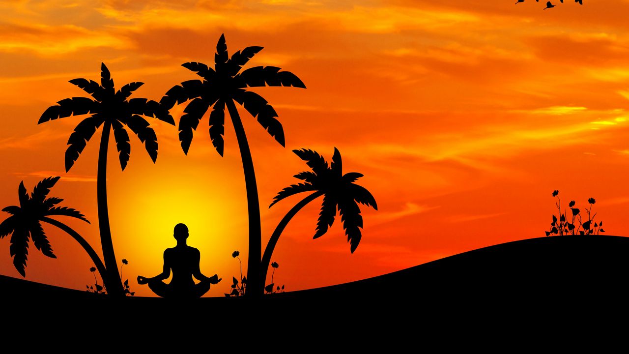 Обои медитация, йога, силуэт, пальмы, гармония