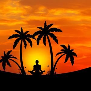 Превью обои медитация, йога, силуэт, пальмы, гармония