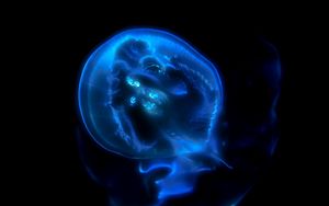 Превью обои медуза, фосфор, свет, подводный мир