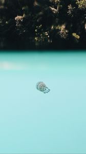 Превью обои медуза, подводный мир, глубина, вода, голубой