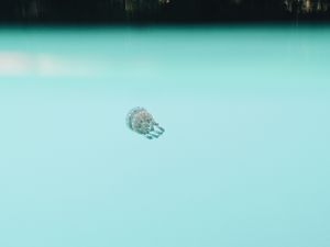 Превью обои медуза, подводный мир, глубина, вода, голубой