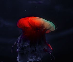 Превью обои медуза, подводный мир, красивый, темный