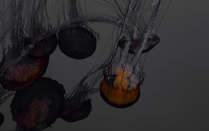 Превью обои медуза, подводный мир, плавание, щупальцы, темный, свечение
