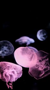 Превью обои медуза, подводный мир, щупальце, черный
