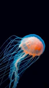 Превью обои медуза, подводный мир, щупальце, темный